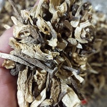 陕西商洛香菇与家用电器销售 创新融合的多元化经营新趋势