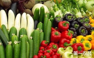 强化源头管控，守护“舌尖安全”——浅析农业部食用农产品合格证管理试点工作在零售环节的实践