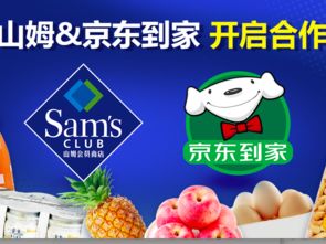 家用电器销售 动点科技在数字化浪潮中的布局与机遇