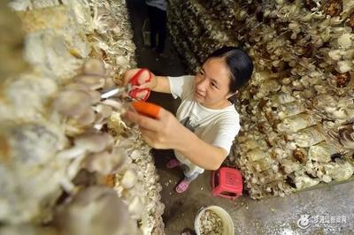 福州区县经济实力新格局 黑马崛起，食用农产品零售成关键增长极